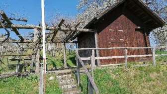 Pique-nique Räbhüüsli