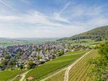 Vue sur un village depuis les vignes.