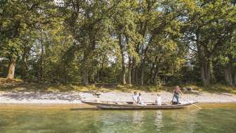 Promenades en weidling dans Schaffhauserland