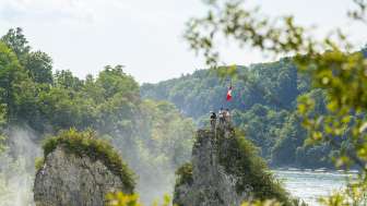 Offre « Early Bird » : les chutes du Rhin et le vin dans le Klettgau