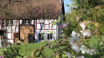 Appartement Waldblick