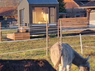 Ein Tiny House steht direkt neben einem Esel Gehege, wo zwei Esel grasen.