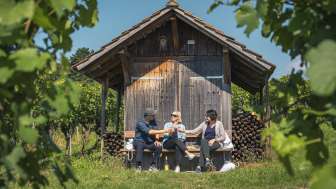 Randonnée viticole à Stein am Rhein