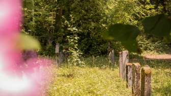 Cimetière forestier de Schaffhouse