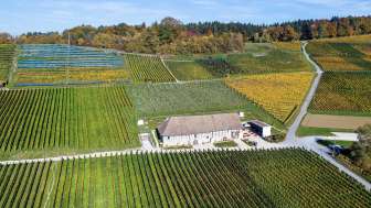 Un ancien pressoir au milieu des vignes en automne.