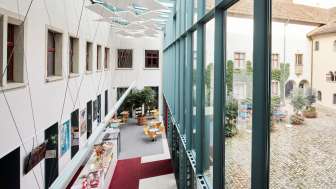 Musée de Allerheiligen de Schaffhouse