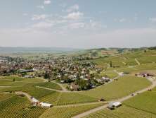 Village viticole entouré de vignes. Des chapiteaux sont installés dans les vignes pour la fête Räbhüüslifest.