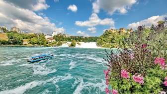 Chutes du Rhin