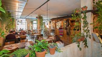 US-MEX Schaffhouse US-MEX Schaffhouse