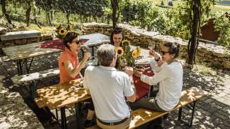 Circuit « Räbhüüsli » à travers le pays du Pinot Noir