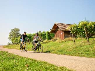 Une personne roule en vélo de gravel et une autre en vélo électrique sur une route qui traverse les vignobles.