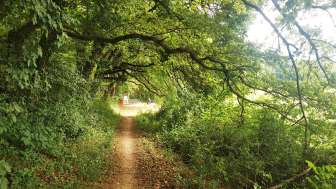 Barbecue de Chuttler