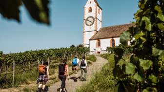 Quatre randonneurs marchent à travers les vignes de Hallau jusqu'à l'église St. Tous portent un sac à dos.