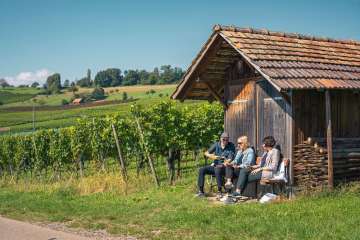 Trois amis sont assis sur un banc en bois devant un Räbhüüsli. Quelqu'un verse du vin blanc dans des verres.