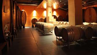 GVS Cave à vin et vinothèque