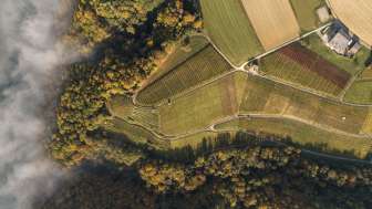 Kümin Weinbau - La culture du vin depuis 1902 Kümin Weinbau - La culture du vin depuis 1902