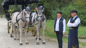 Promenades en calèche Vogelsanger