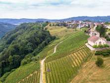 Vue aérienne Buchberg Rüdlingen avec une église et un village situés en haut d'une main couverte de vignes. Sous les vignes, le Rhin.