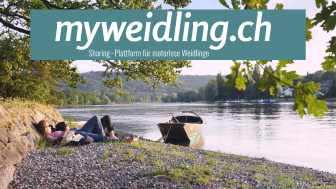 Mon hérisson Mon hérisson