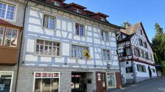 Cinéma et théâtre Schwanen