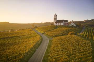 Deux cyclistes électriques roulent sur une route qui traverse des vignobles dorés. Une église trône sur une colline.