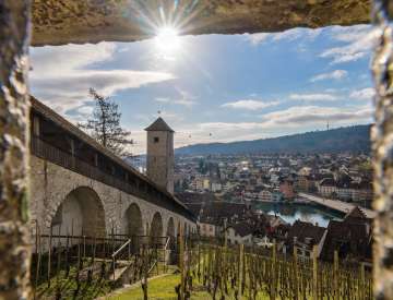 Vue en février du Munot de Schaffhouse sur Feuerthalen, le vignoble du Munot, le Rhin et le chemin de ronde. Ciel bleu et soleil radieux.