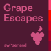 Sur une boîte carrée violette, le texte est écrit en rose "Grape Escapes".