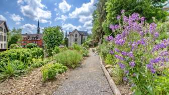 Naturweg durch den blühenden Garten des Hotels Promenade Schaffhausen.