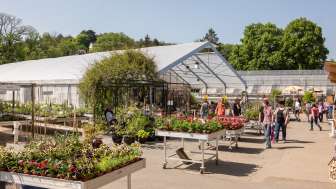 Fleuriste Altra Fleuriste Altra