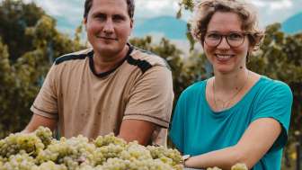 Domaine viticole Christen