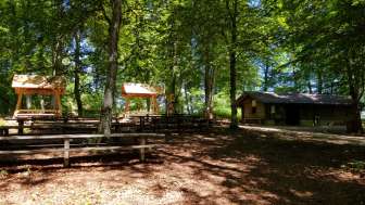 Waldwirtschaft Schlossranden