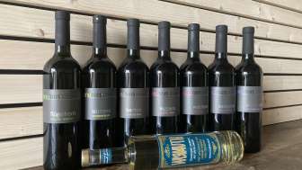 Heusi Weinbau «vinoTon»