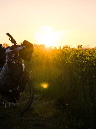 Un vélo chargé se trouve devant un champ de colza jaune vif, la lumière chaude du soir plonge la scène dans des tons dorés.