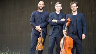 steiner trio basel