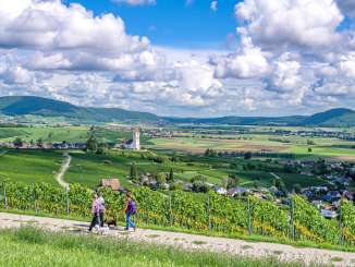 Trois personnes se promènent avec leur chien sur un sentier naturel offrant une vue sur les vignes et l'église .
