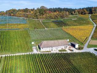 Un ancien pressoir au milieu des vignes en automne.