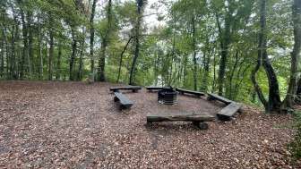 Aire de barbecue Ruine Neuburg