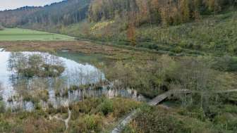 Biotope "Wangental Natur Pur" (nature pure)