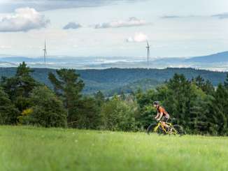 Un homme roule sur un chemin de campagne avec son vélo de gravel jaune. À l'arrière-plan, on aperçoit une vaste étendue de forêts, d'éoliennes et d'un lac.