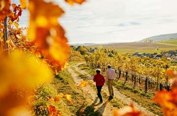 Deux personnes se promènent dans les vignes en automne.