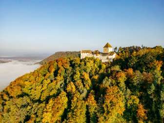 Blick auf die Burg Hohenklingen in Stein am Rhein. Sie ist umgeben von herbstlich farbigem Wald.