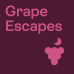 Sur une boîte carrée violette, le texte est écrit en rose "Grape Escapes".
