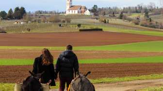 Pique-nique avec un âne Pique-nique avec un âne