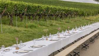 Festbänke sind in den Reben zu einer langen Tafel zusammengestellt und weiss sowie mit Wiesenblumen dekoriert.