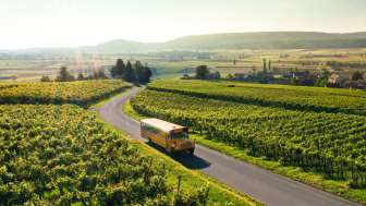 Nostalgie et plaisir du vin Nostalgie et plaisir du vin