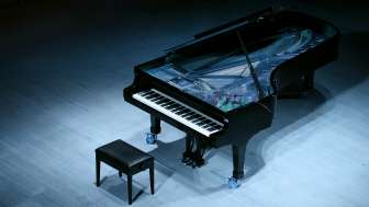 Cours de maître de Schaffhouse