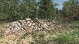 Biotope de Winterihau