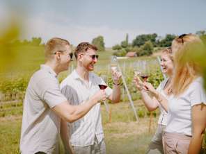 Un groupe d'amis se trouve dans le vignoble. Ils trinquent avec du vin.