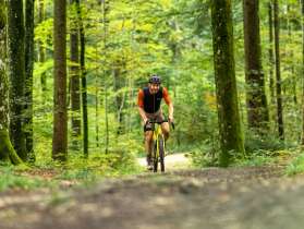 Un homme sur un vélo de gravel jaune roule sur un chemin forestier.