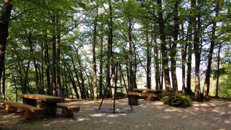 Barbecue des ruines de Radegg